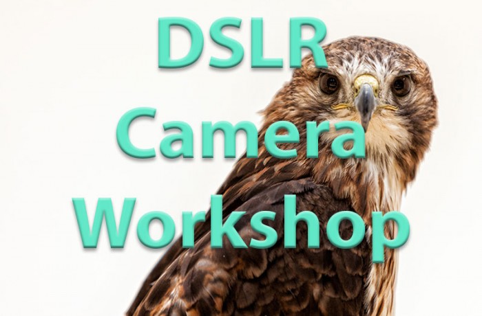 DSLR Camera Workshop