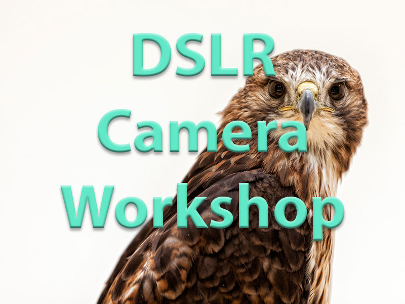 DSLR-Camera-Workshop