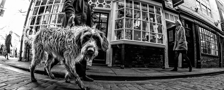 Street Photography York