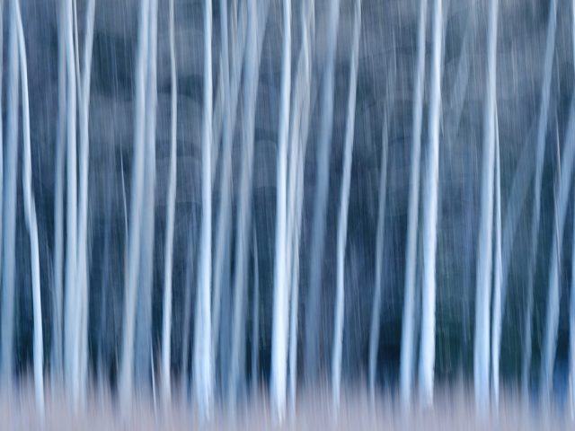 Canadian-Rockies-Winter-Photography-Workshop—ALL-IMAGES-©Adam-Gibbs—005