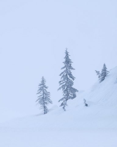 Canadian-Rockies-Winter-Photography-Workshop—ALL-IMAGES-©Adam-Gibbs—009