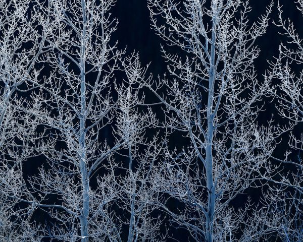 Canadian-Rockies-Winter-Photography-Workshop—ALL-IMAGES-©Adam-Gibbs—010