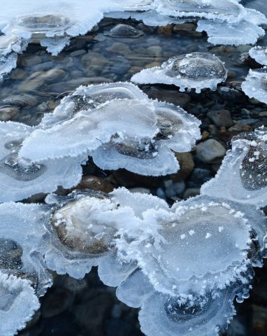 Canadian-Rockies-Winter-Photography-Workshop—ALL-IMAGES-©Adam-Gibbs—012