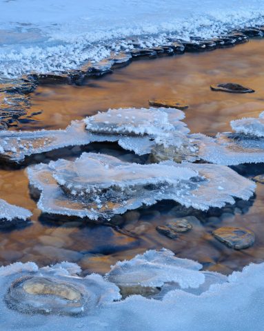 Canadian-Rockies-Winter-Photography-Workshop—ALL-IMAGES-©Adam-Gibbs—013