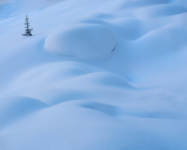 Canadian-Rockies-Winter-Photography-Workshop—ALL-IMAGES-©Adam-Gibbs—016