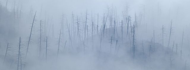 Canadian-Rockies-Winter-Photography-Workshop—ALL-IMAGES-©Adam-Gibbs—017