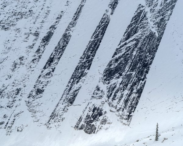 Canadian-Rockies-Winter-Photography-Workshop—ALL-IMAGES-©Adam-Gibbs—021