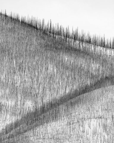 Canadian-Rockies-Winter-Photography-Workshop—ALL-IMAGES-©Adam-Gibbs—022