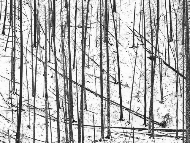 Canadian-Rockies-Winter-Photography-Workshop—ALL-IMAGES-©Adam-Gibbs—023