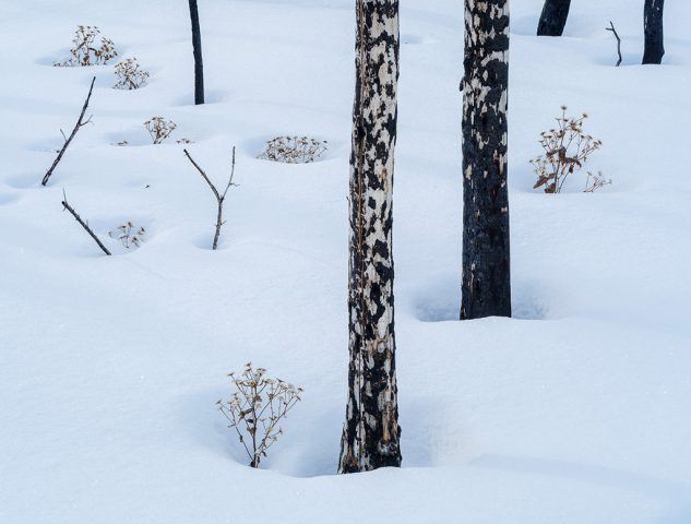 Canadian-Rockies-Winter-Photography-Workshop—ALL-IMAGES-©Adam-Gibbs—025