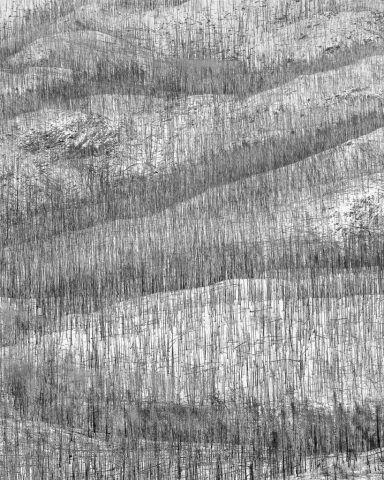Canadian-Rockies-Winter-Photography-Workshop—ALL-IMAGES-©Adam-Gibbs—027