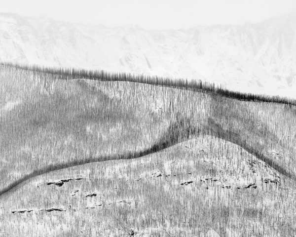Canadian-Rockies-Winter-Photography-Workshop—ALL-IMAGES-©Adam-Gibbs—029
