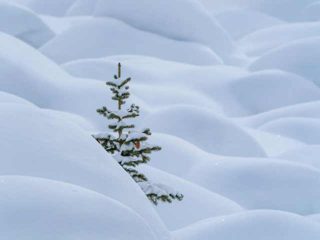 Canadian-Rockies-Winter-Photography-Workshop—ALL-IMAGES-©Adam-Gibbs—031