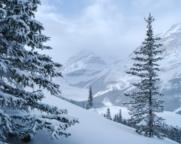 Canadian-Rockies-Winter-Photography-Workshop—ALL-IMAGES-©Adam-Gibbs—035