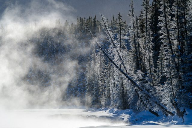 Canadian-Rockies-Winter-Photography-Workshop—ALL-IMAGES-©Adam-Gibbs—037