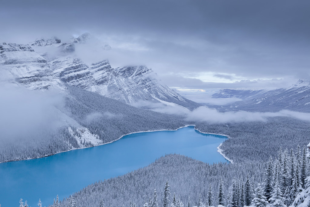 Canadian Rockies Winter Workshop